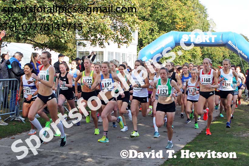 Senior womens 4 stage road relay, 2019 ERRA 6 and 4 Stage Relay and Young Athletes.  Photo: David T. Hewitson/Sports for All Pics